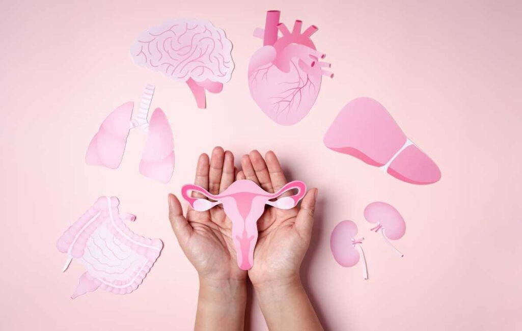 june banners 2025 (4) june banners 2025 (4)